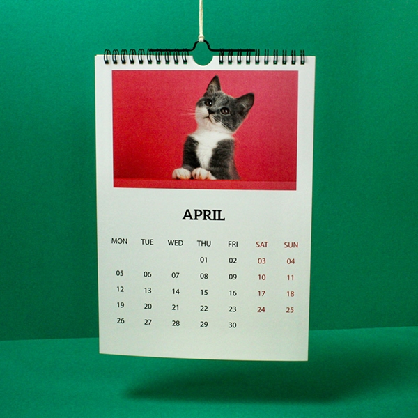 Picture of *NEW* Non Grid - 2021 Plain and Simple - Wall Calendar Template - Just Add Your Pictures 